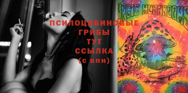 Альфа ПВП Протвино
