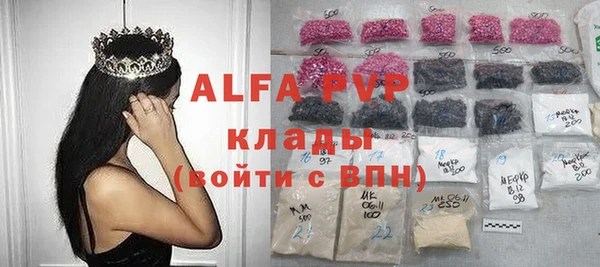 индика Заволжск