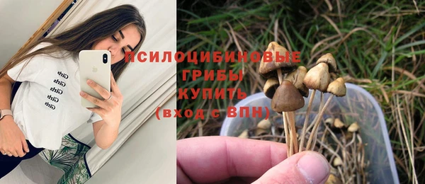 МДПВ Заволжье