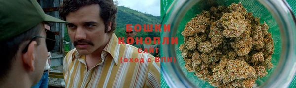 гашик Россошь